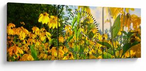 Tablou - Flori galbene (cu ceas) (90x30 cm)