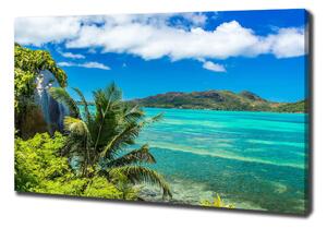 Tablou canvas Seychelles Coast