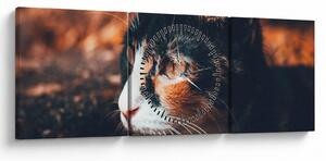 Tablou - Privirea pisicii (cu ceas) (90x30 cm)