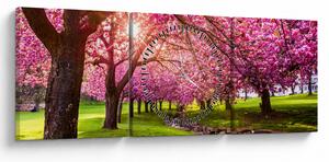 Tablou - Cireși înfloriți, Hurd Park, Dover, New Jersey (cu ceas) (90x30 cm)