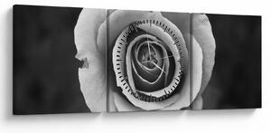 Tablou - Trandafir (cu ceas) (90x30 cm)