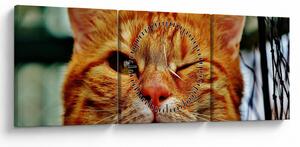 Tablou - Pisica suspicioasă (cu ceas) (90x30 cm)