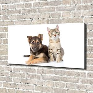 Tablou pe pânză canvas Câine și pisică
