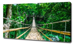 Tablou pe pânză Cele mai multe Rainforest