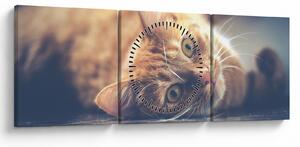 Tablou - Pisici pe podea (cu ceas) (90x30 cm)