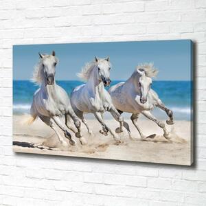 Tablou pe pânză White Beach Horse