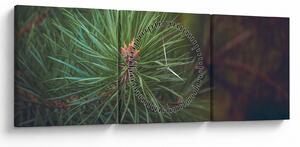 Tablou - Pin (cu ceas) (90x30 cm)