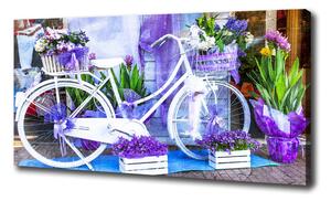 Pictură pe pânză bicicletă alb