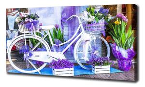 Pictură pe pânză bicicletă alb