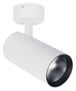 Spot aplicat minimalist NESTOR alb orientabil cu LED 15W