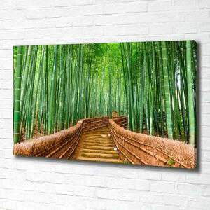 Tablou pe pânză pădure de bambus