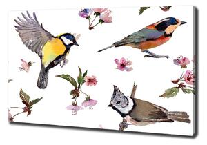 Imprimare tablou canvas Bird flori de cires
