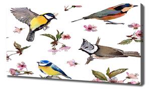 Imprimare tablou canvas Bird flori de cires