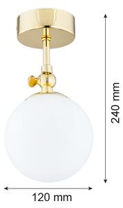 Argon 4001 - Lustră aplicată pentru baie LATINA 1xE14/40W/230V IP44