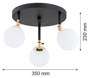 Argon 1436 - Lustru aplicat pentru baie LATINA 3xE14/40W/230V IP44