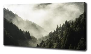 Tablou canvas Ceață peste pădure