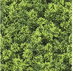 Panou decorativ plante artificiale Emoss 38x38 cm