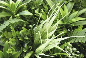 Panou decorativ plante artificiale Fire 38x38 cm