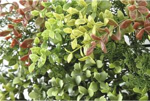Panou decorativ plante artificiale Jungle 38x38 cm