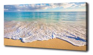 Tablou pe pânză canvas plaja Hawaii