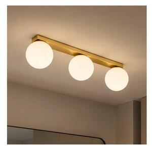 Brilagi - Corp de iluminat tip spot MILO 3xE27/60W/230V, auriu