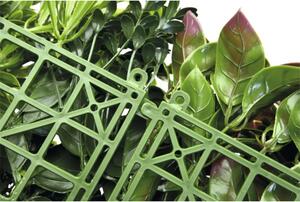 Panou decorativ plante artificiale Thallo fly 38x38 cm