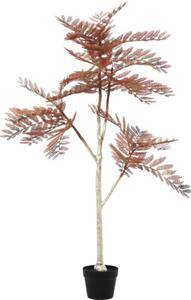 Plantă artificială Lafiora Jacaranda H 115 cm maro