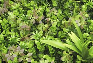 Panou decorativ plante artificiale Dreams 38x38 cm