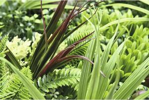 Panou decorativ plante artificiale Thallo fly 38x38 cm