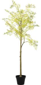 Plantă artificială Lafiora Jacaranda H 115 cm auriu