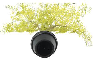 Plantă artificială Lafiora Jacaranda H 115 cm auriu