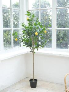 Copac artificial lămâi Lafiora în ghiveci H 180 cm verde