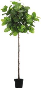 Copac artificial ficus Lafiora în ghiveci H 204 cm verde