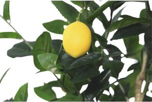 Copac artificial lămâi Lafiora în ghiveci H 150 cm verde
