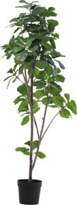 Copac artificial ficus cu frunze Lafiora în ghiveci H 180 cm verde