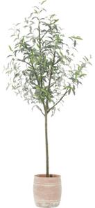 Copac artificial măslin Lafiora în ghiveci H 185 cm verde
