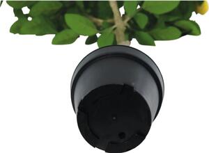 Copac artificial lămâi Lafiora în ghiveci H 150 cm verde