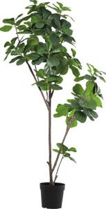 Copac artificial ficus cu frunze Lafiora în ghiveci H 180 cm verde