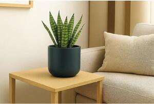Ghiveci flori Lafiora Alma ceramică Ø 13,5 cm H 12.6 cm albastru