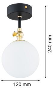 Argon 4003 - Plafonieră aplicată pentru baie LATINA 1xE14/7W/230V IP44 negru/alamă