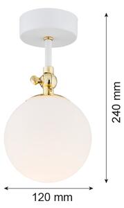 Argon 4002 - Plafonieră aplicată pentru baie LATINA 1xE14/7W/230V IP44 alb/auriu