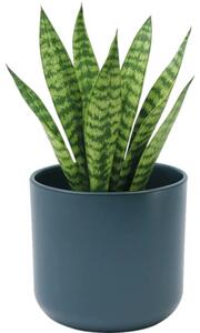Ghiveci flori Lafiora Alma ceramică Ø 13,5 cm H 12.6 cm albastru