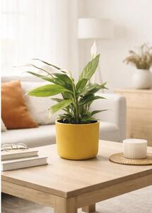 Ghiveci flori Lafiora Alma ceramică Ø 13,5 cm H 12,6 cm galben