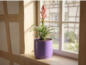 Mască ghiveci Alma Lafiora ceramică Ø 27 cm H 26 cm lila