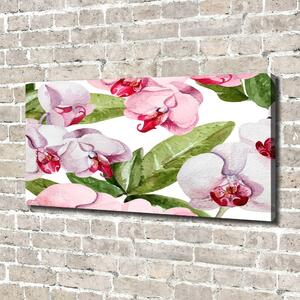 Tablou pe pânză canvas orhidee roz