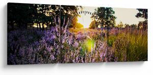 Tablou - Câmp cu lavandă (cu ceas) (90x30 cm)