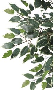 Plantă artificială Ficus benjamina în ghiveci Lafiora H 120 cm verde alb