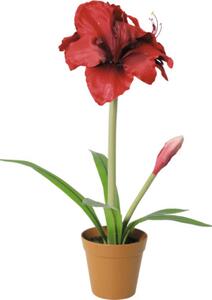 Floare artificială Amaryllis în ghiveci Lafiora H 53 cm roșu