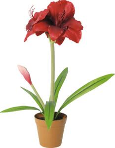 Floare artificială Amaryllis în ghiveci Lafiora H 53 cm roșu