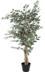 Plantă artificială Ficus benjamina în ghiveci Lafiora H 120 cm verde alb